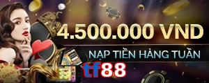 tf88