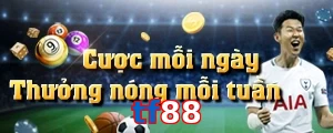tf88